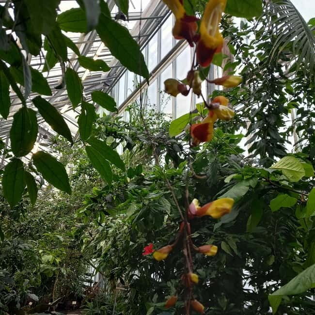 Tallinn TV tower and Botanic garden (a tour with a guide) - Final Thoughts on the Tour’s Value