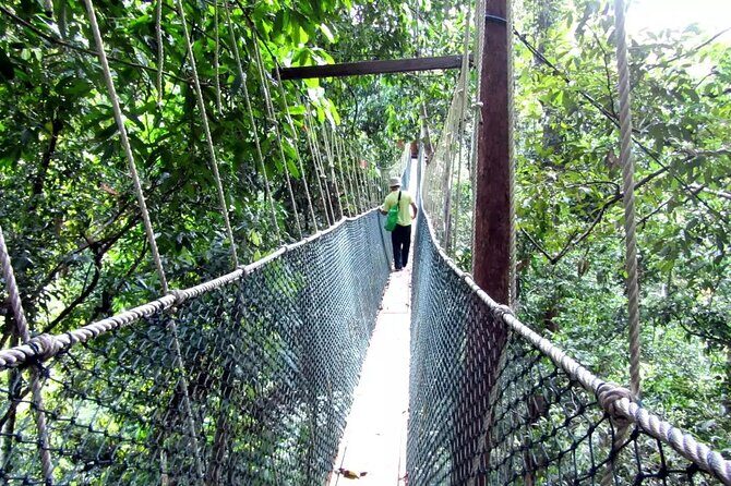 Taman Negara Day Tour with Canopy Walk - Starting with Convenience and Comfort