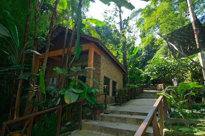 Taman Negara Day Trip from Kuala Lumpur with Lunch - Key Points