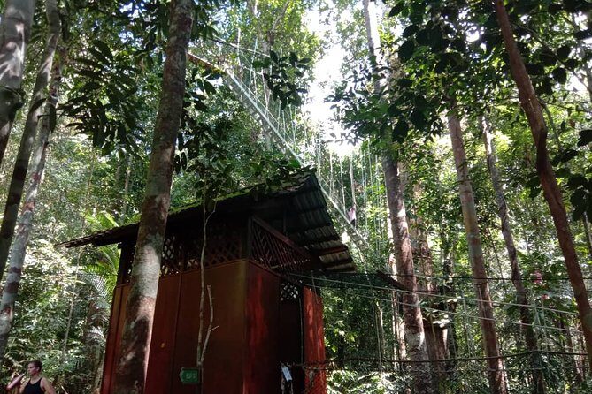 Taman Negara National Park Day Tour (SIC - Join In Tour) - Key Points