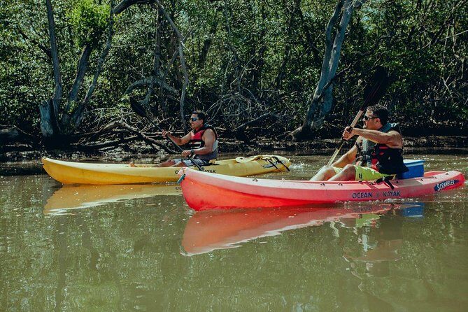 Tamarindo Kayak Estuary Mangrove Tour - Key Points