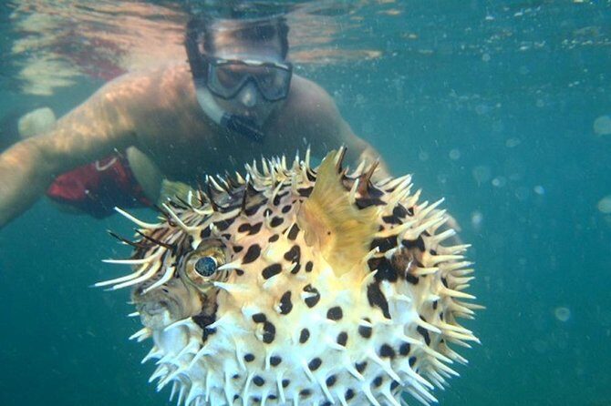 Tamarindo Kayaking Tour with Snorkeling at Captain Island - Price and Value