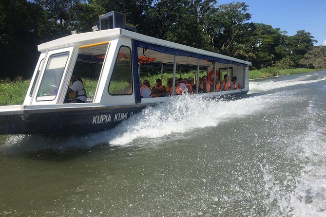 Tamarindo wildlife Estuary boat ride tour 2 hours - Key Points