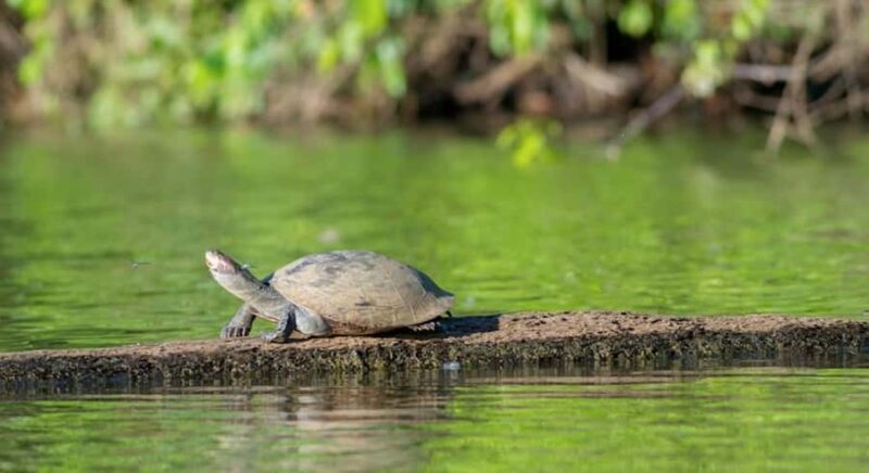 Tambopata 2 day adventure - What’s Included and Whats Not