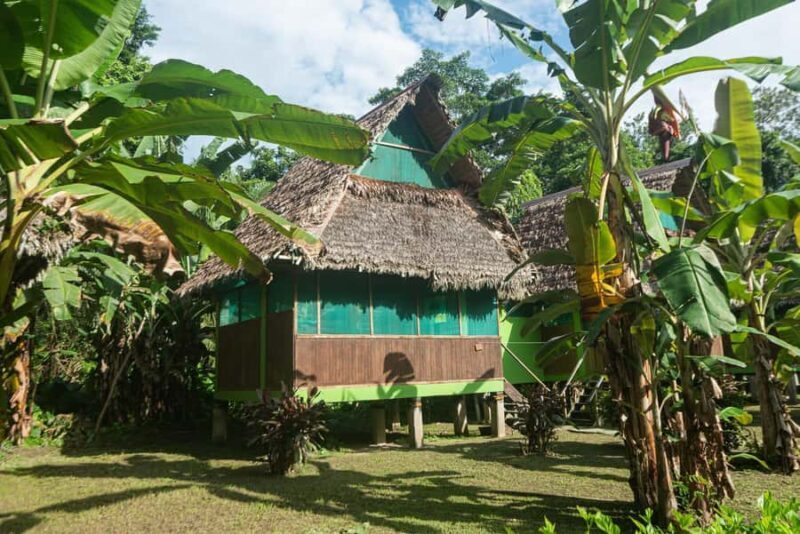 Tambopata: 2 days and 1 night - Aventura and Sandoval Lake - Summary & Final Thoughts