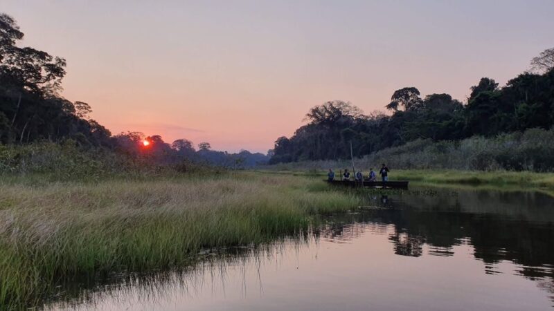 Tambopata All in One - FAQ