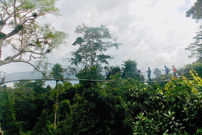 Tambopata Amazon Reserved Zone Exclusive Experience (6 Days) - Key Points