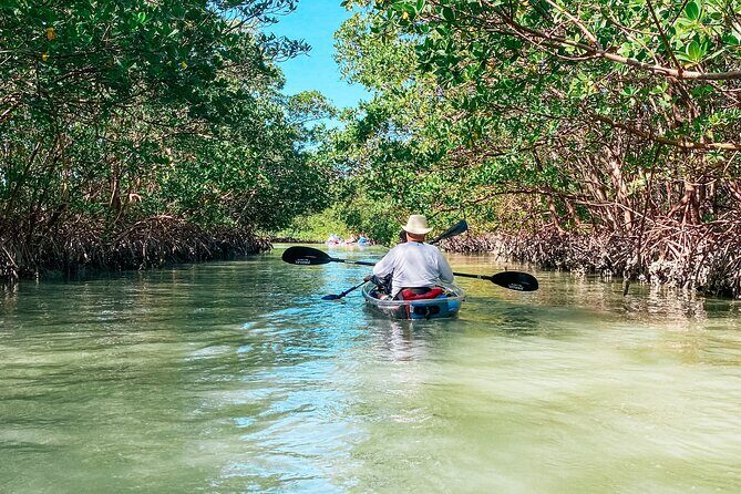 Tambopata Amazon Reserved Zone Exclusive Experience (6 Days) - FAQ