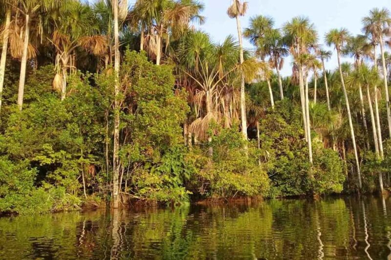 TAMBOPATA AMAZON WILD (3 DAYS  2 NIGHTS) - Key Points