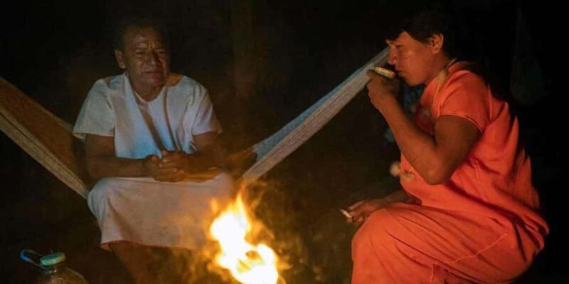 Tambopata: Ayahuasca Retreat 2 days | lodge and lunch | - A Closer Look at the 2-Day Amazonian Retreat