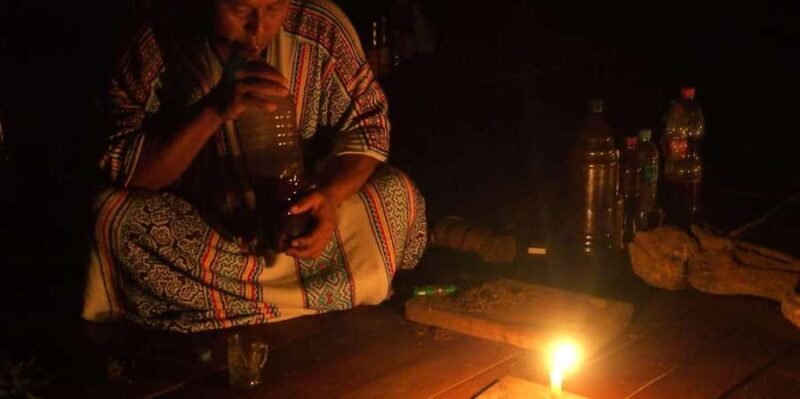 Tambopata: Ayahuasca Retreat 2 days : lodging and lunch - A Closer Look at the Amazonian Ayahuasca Retreat