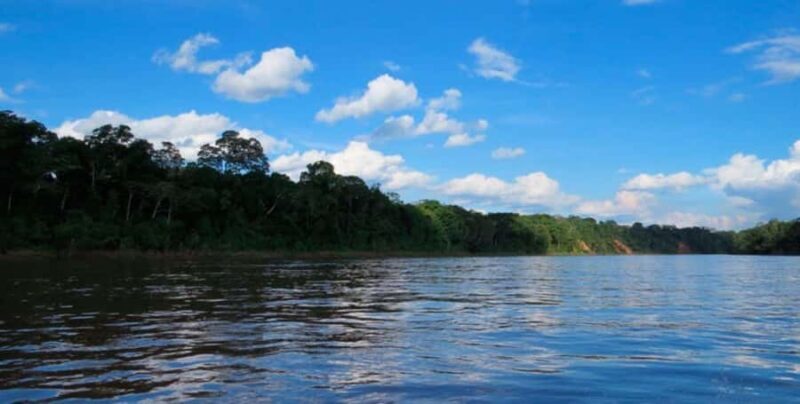 Tambopata Clay Lick for Macaws 2D/1N - Key Points