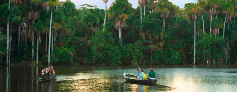 Tambopata Clay Lick for Macaws 2D/1N - What Makes This Tour Stand Out