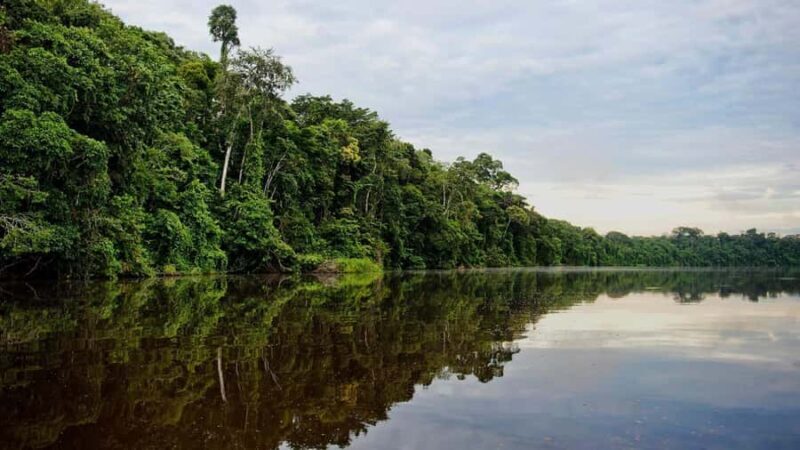 Tambopata Exploration: 4 Days of Nature in Lake Sandoval - Is This Tour For You?