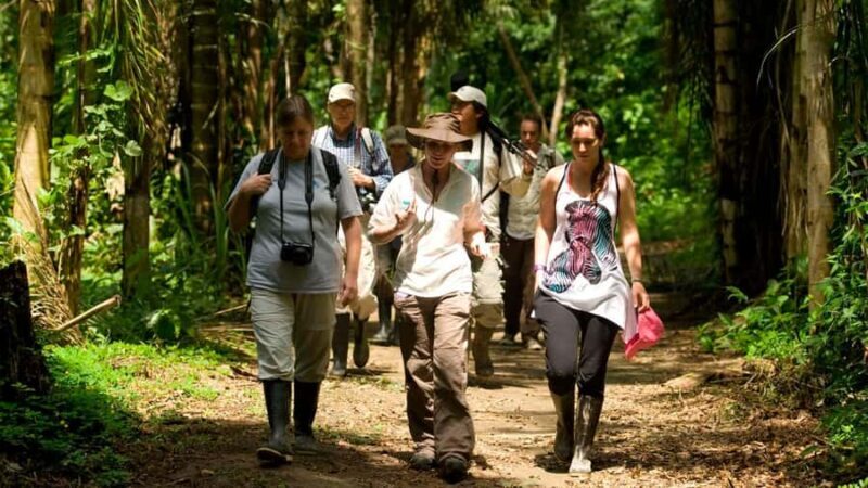 tambopata jungle - Tambopata Jungle Tour: An Authentic Amazonian Adventure from Puerto Maldonado