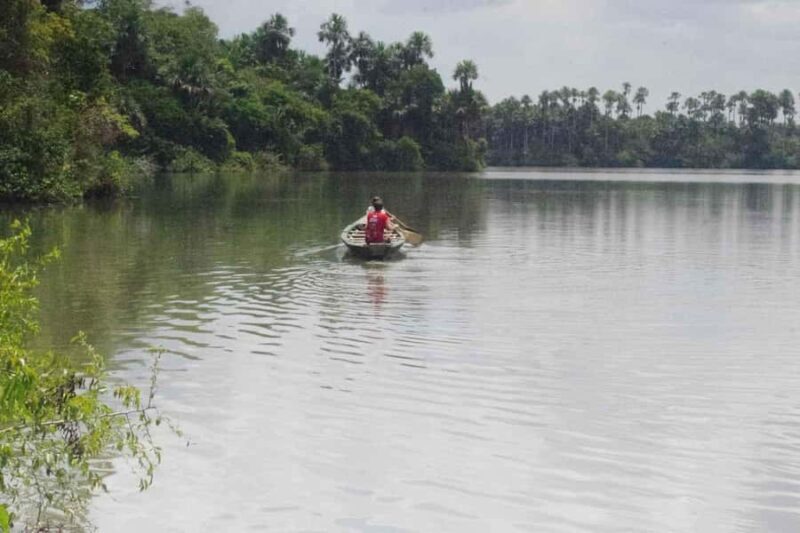 Tambopata: Lake Sandoval Canoeing with Lunch - The Experience from Real Travelers