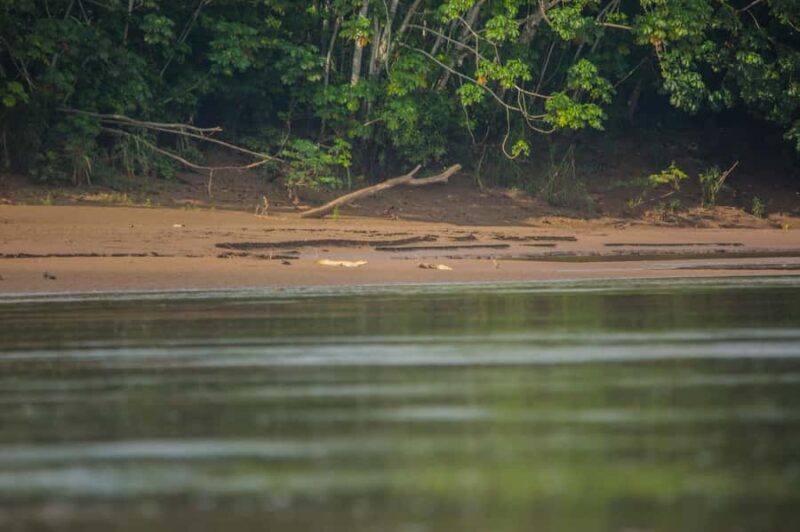 Tambopata Macaw Clay Lick 4 days/3 nights - Who Is This Tour Best For?