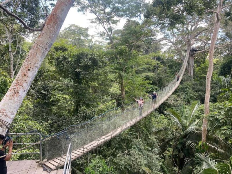 Tambopata: Multi-Day Amazon Rainforest Tour with Local Guide - Authenticity, Value, and Suitability