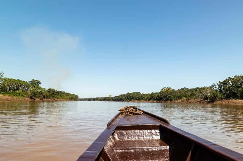 Tambopata: Multi-Day Amazon Rainforest Tour with Local Guide - Summing It Up: Who Should Consider This Tour?