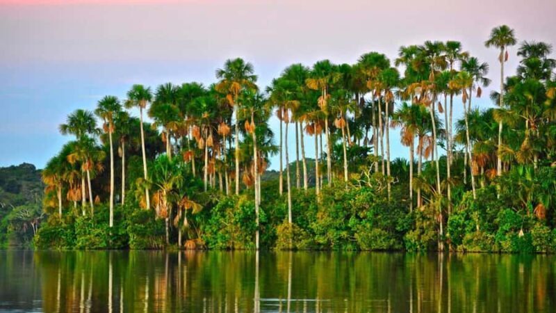 Tambopata Peruvian Amazon Jungle for Three Days/Two Nights - Key Points