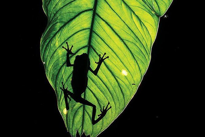 Tambopata (Puerto Maldonado) 5 Days - Final Thoughts