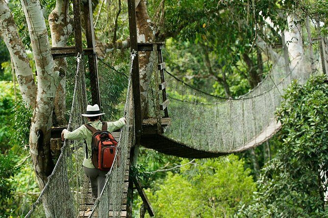 Tambopata (Puerto Maldonado) 5 Days - Key Points