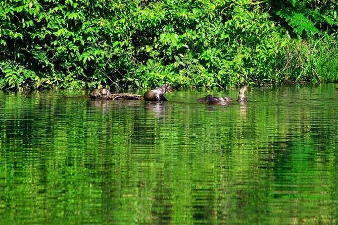 Tambopata (Puerto Maldonado) 5 Days - The Sum Up