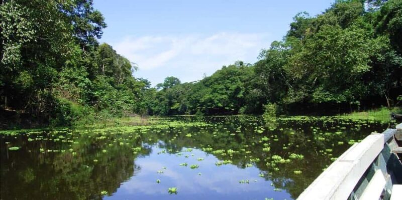 TAMBOPATA SAFARI ANIMALS 3D/2N - Key Points