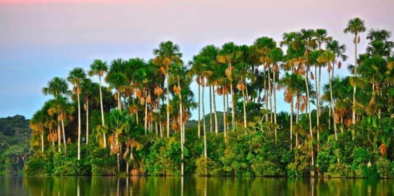 TAMBOPATA SAFARI ANIMALS 3D/2N - Who Should Consider This Tour?