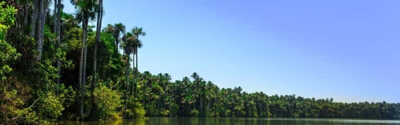 Tambopata: Sandoval Lake and Cayman Safari 2 days - Key Points