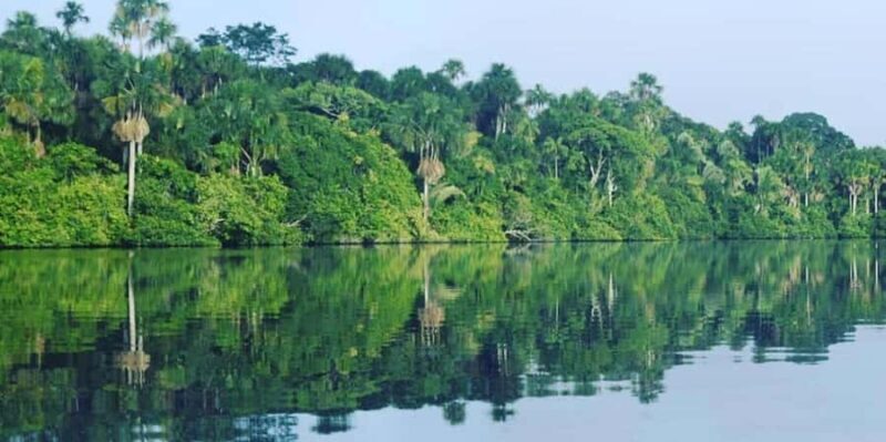 Tambopata: Sandoval Lake and Cayman Safari 2 days - FAQ