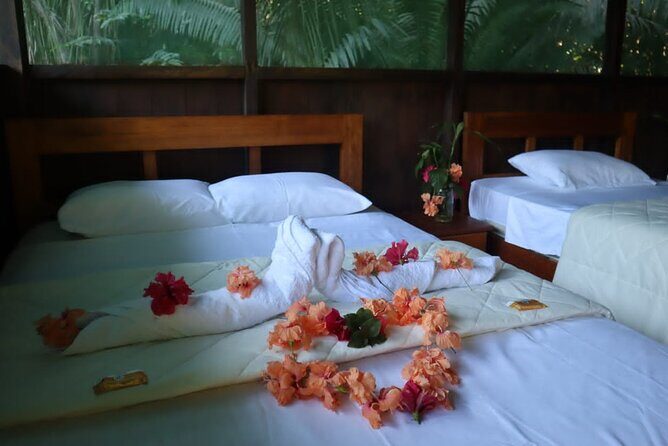 Tambopata. Sandoval lake and parrot clay lick, 3 days 2 nights - Key Points