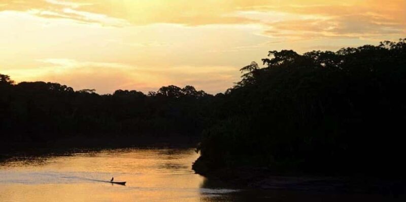 Tambopata: Search for Caimans in the Amazon | Night Tour | - An In-Depth Look at the Tambopata Night Tour