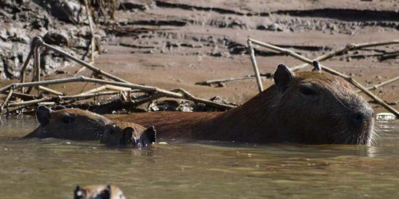 TAMBOPATA SUNSET TOUR 3D/2N - Who Should Consider This Tour?