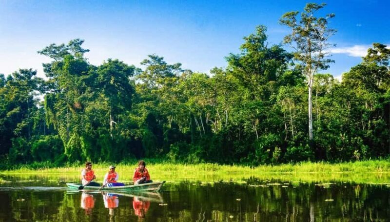 Tambopata tour: 3D/2N Amazonian adventure - Discover the Amazon in Three Days: Tambopata Tour Review
