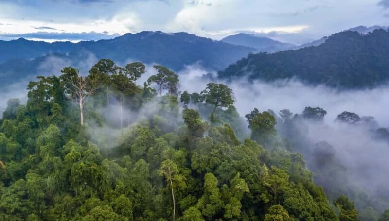 Tambopata tour: 3D/2N Amazonian adventure - Exploring the Tambopata 3D/2N Amazon Adventure: An Authentic Jungle Experience