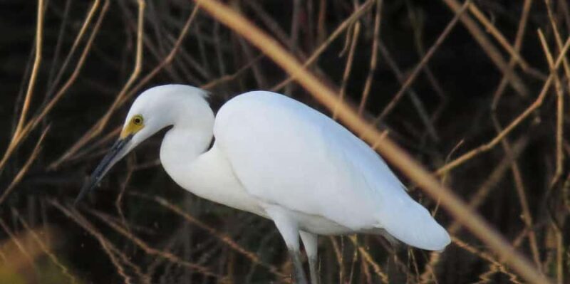 Tambopata Tour 4 Days - Exploring the Amazon in Just 4 Days: Tambopata Tour Review