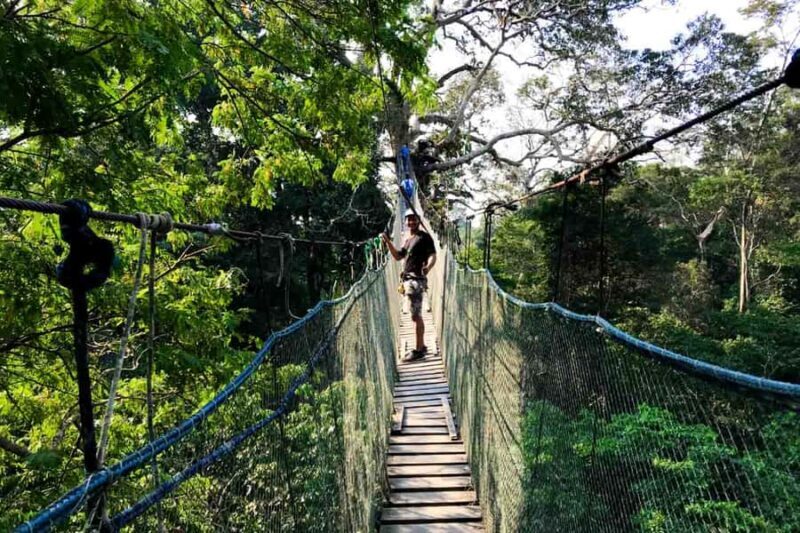 Tambopata: Zipline Adventure & Kayak to Monkey Island - The Sum Up: Who Will Enjoy This Tour?