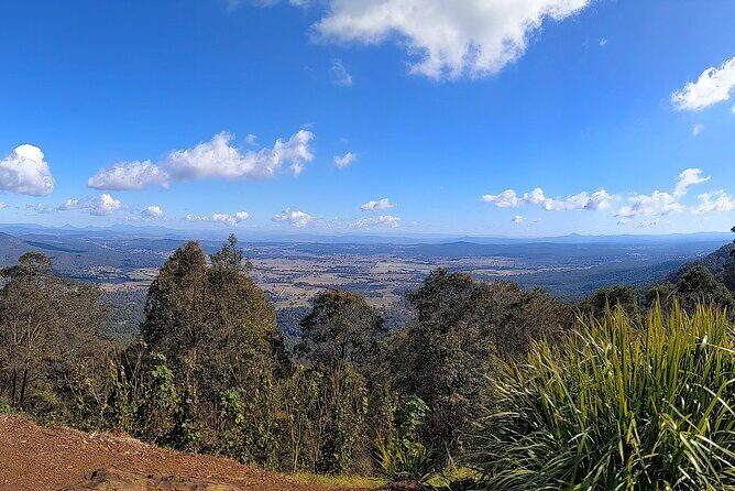 Tamborine Mountain and Paradise Point Tour from Brisbane - In-Depth Breakdown of the Itinerary