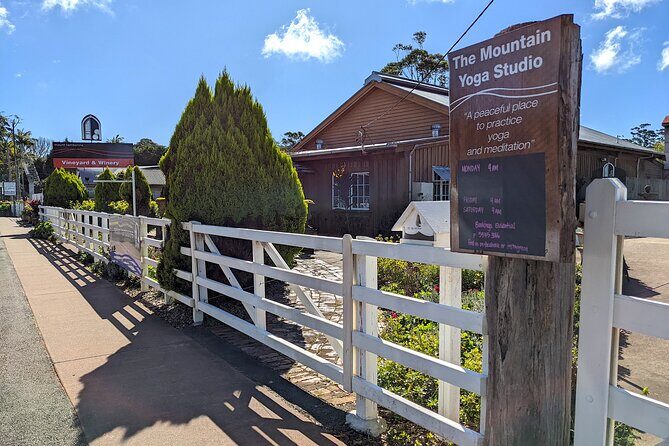 Tamborine Mountain and Paradise Point Tour from Brisbane - Final Thoughts: Who Will Love This Tour?