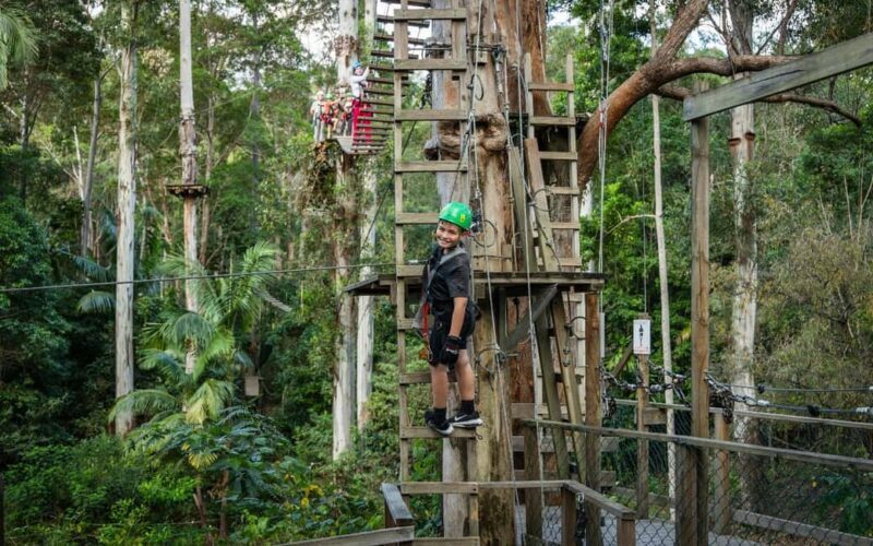 Tamborine Mountain: TreeTop Challenge Adrenaline Pass - Exploring the Tamborine Mountain: TreeTop Challenge Adrenaline Pass