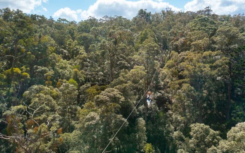 Tamborine Mountain: TreeTop Challenge Adrenaline Pass - FAQ