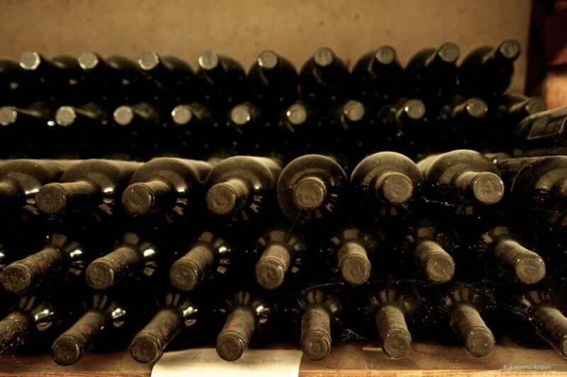 Tamburini Wine Tour and Tasting - Tamburini Wine Tour and Tasting: An Authentic Taste of Tuscany