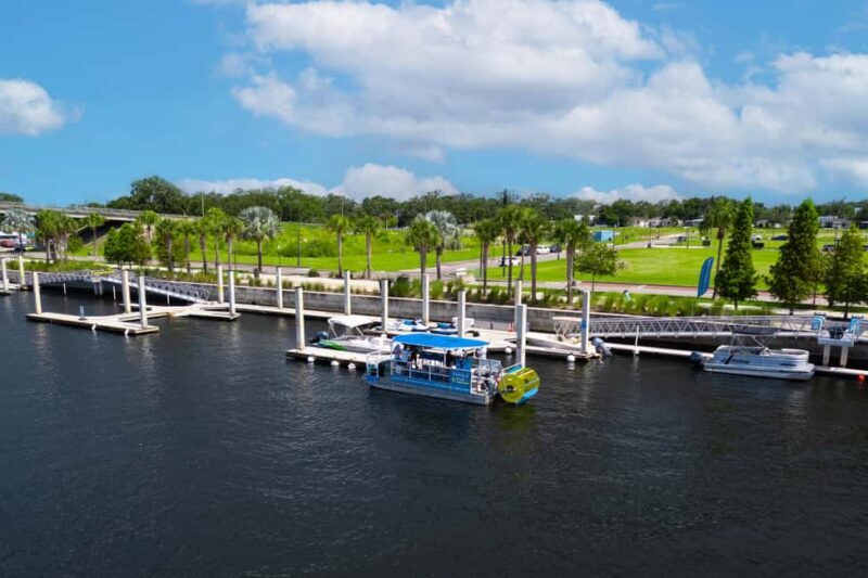 Tampa: 2 hour Paddle Pub River Cruise - Who Would Enjoy This?