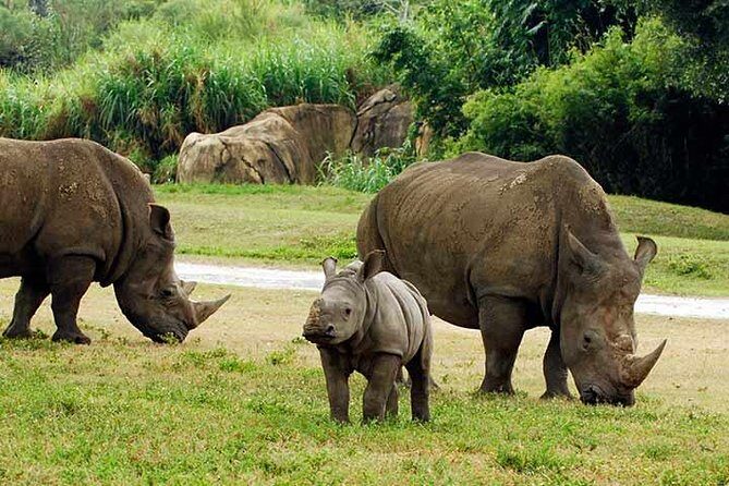 Tampa Bay CityPASS® - Practical Tips for Using Your Tampa Bay CityPASS