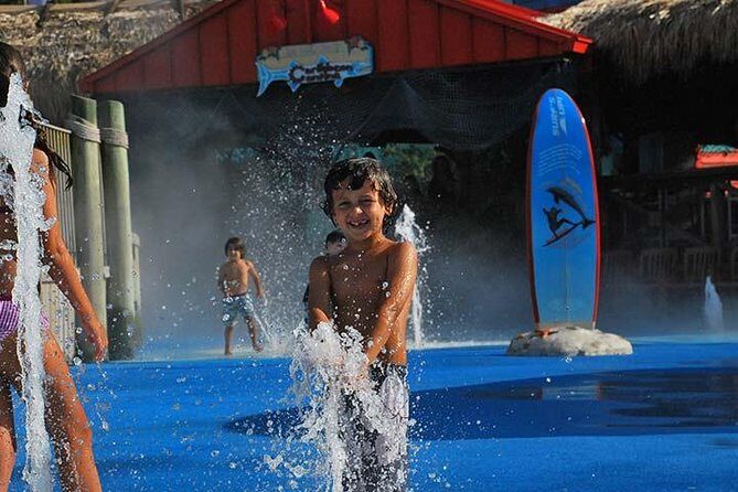 Tampa Bay CityPASS® - The Sum Up