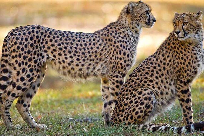 Tampa Bay CityPASS® - FAQ