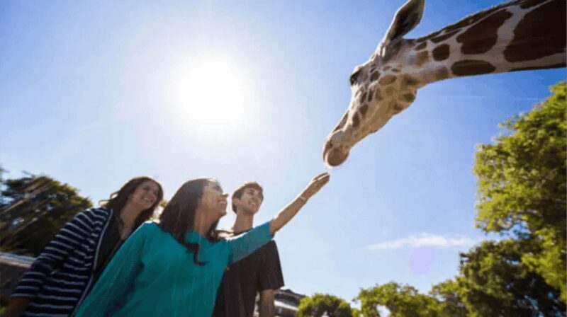 Tampa Bay: Serengeti Safari Tour - FAQ