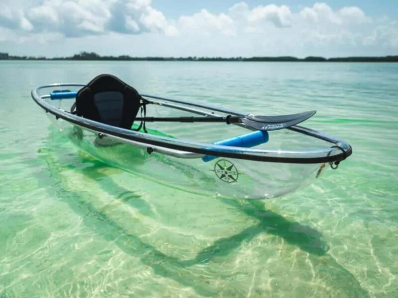 Tampa Bay: Shell Key Preserve Clear Kayak Tour - Practical Details and Tips