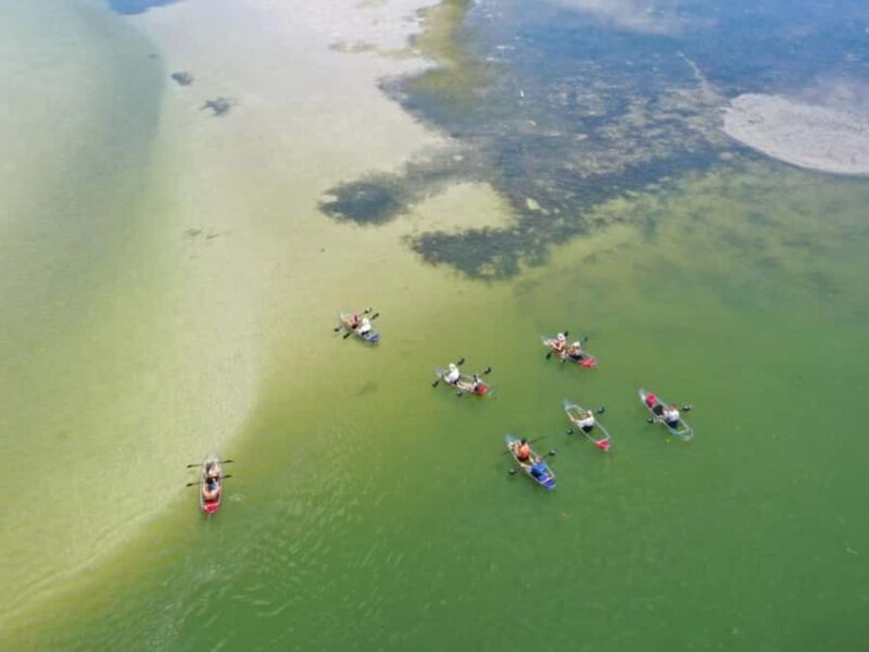 Tampa Bay: Shell Key Preserve Clear Kayak Tour - FAQ
